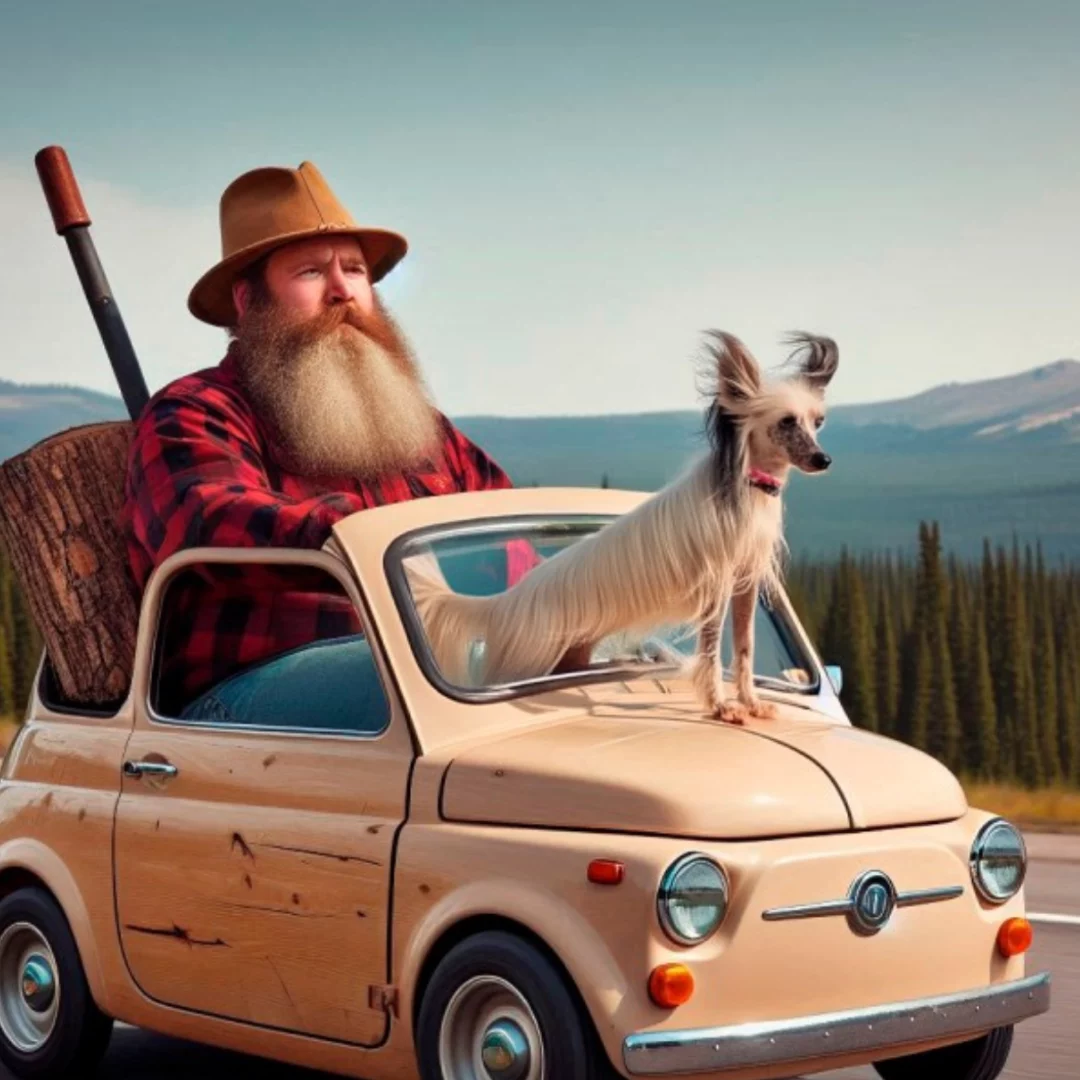 Chasseurs d'Autos